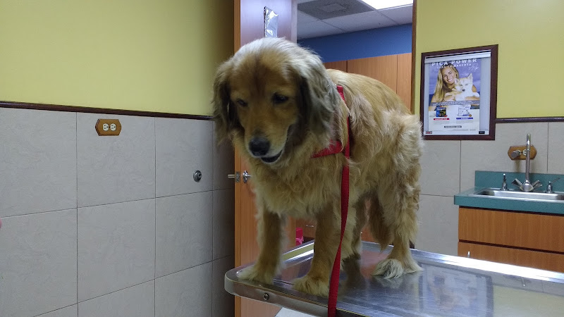 IMG 20170719 162322314