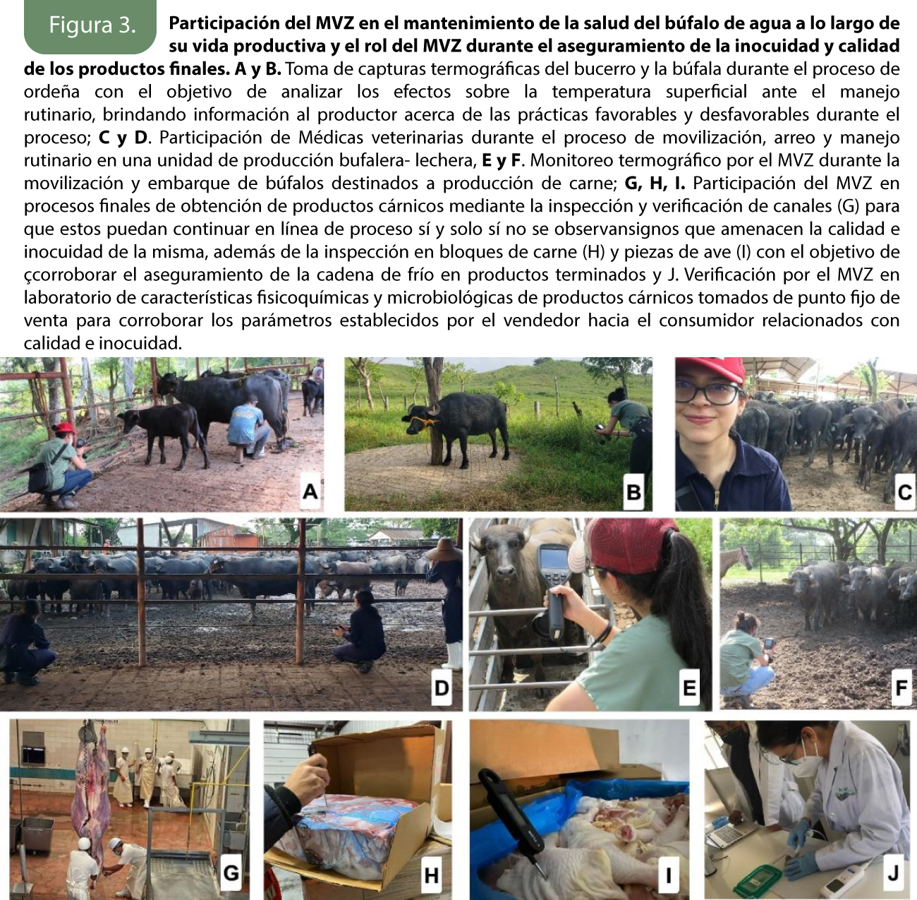 agro beterinaria garcia