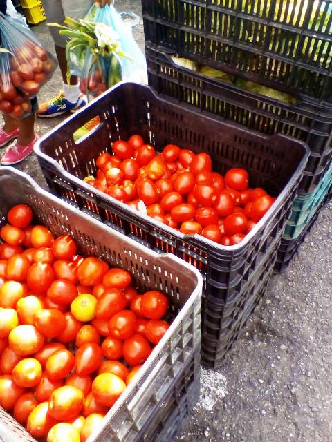 agro comercial hermanos carela