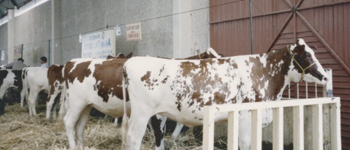 agro veterinaria del pueblo