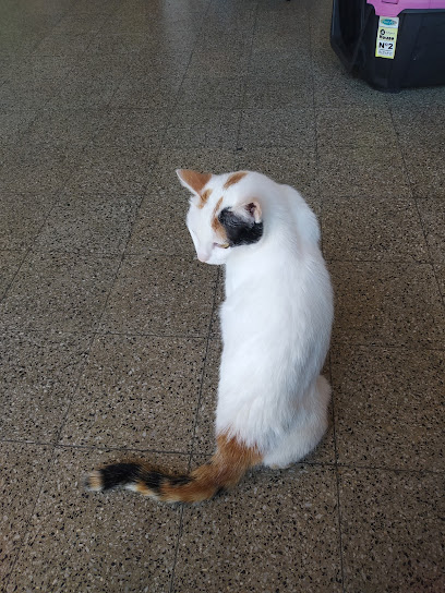 agro veterinaria el chicho