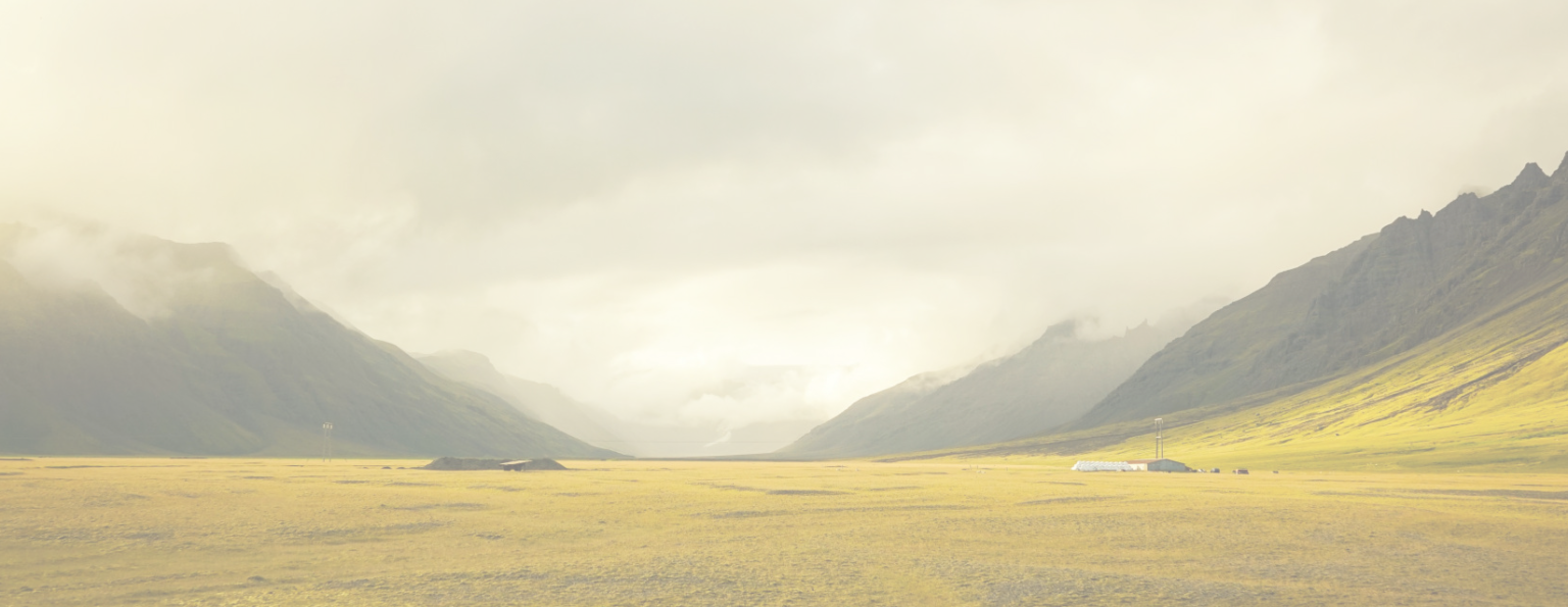 agro veterinaria el gallito