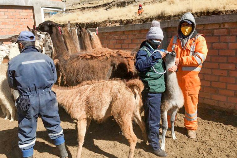 agro veterinaria garachana