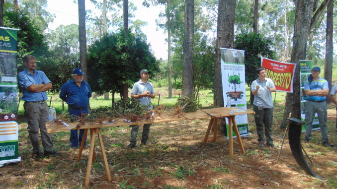 agro veterinaria la catalina 6