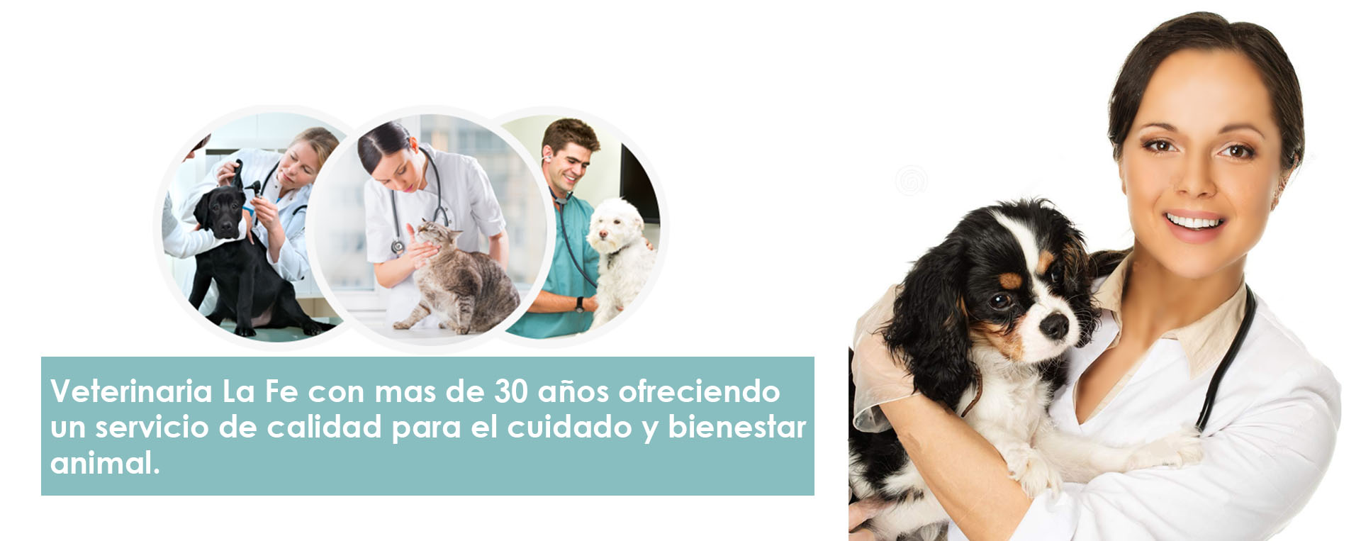 agro veterinaria la fe