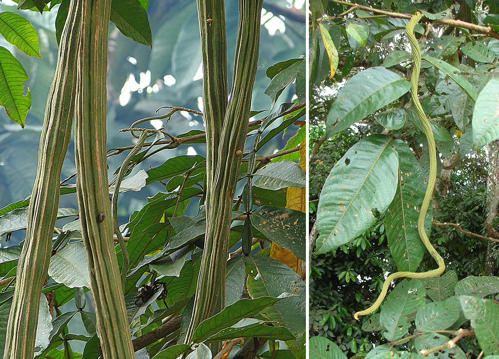 agro veterinaria la guama