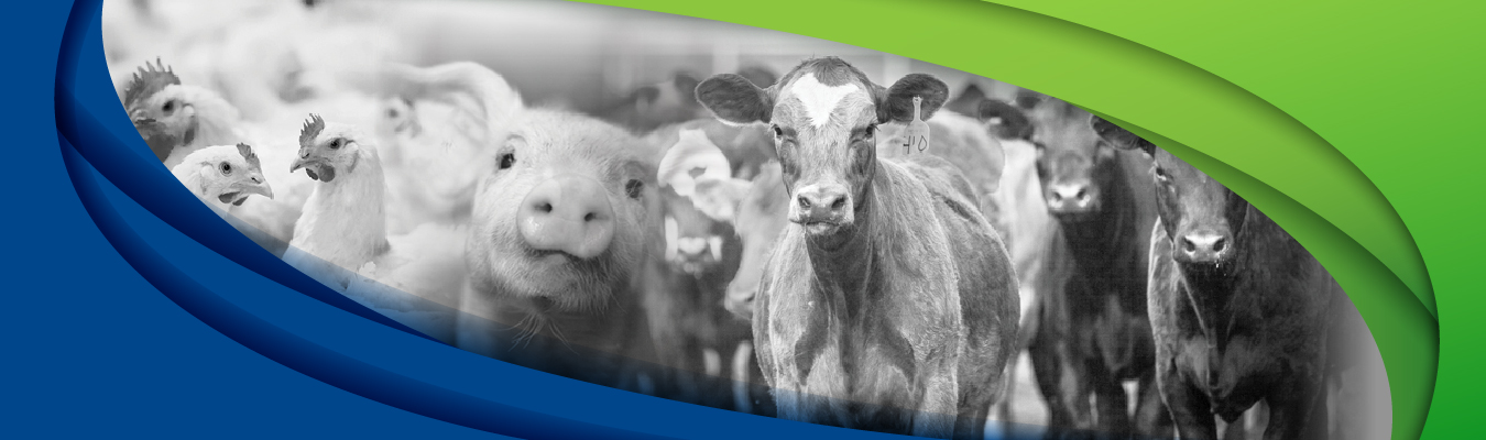 agro veterinaria la union