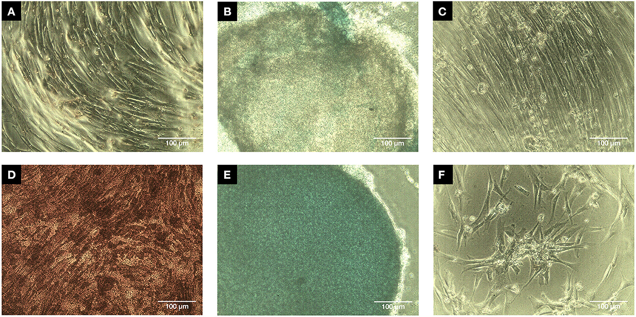 agro veterinaria marte 1