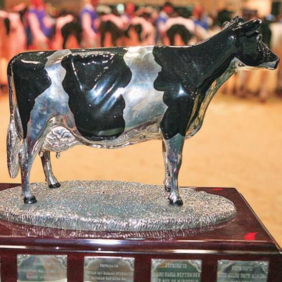 agro veterinaria raiden