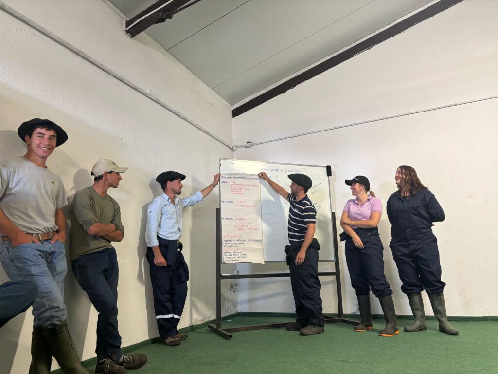 agro veterinaria ramon