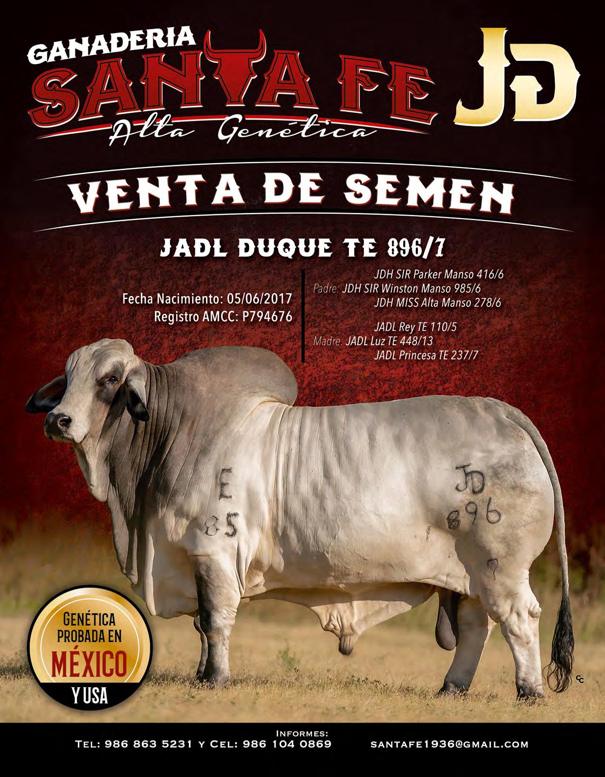 agro veterinaria reyes