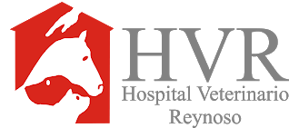 agro veterinaria reynoso 2