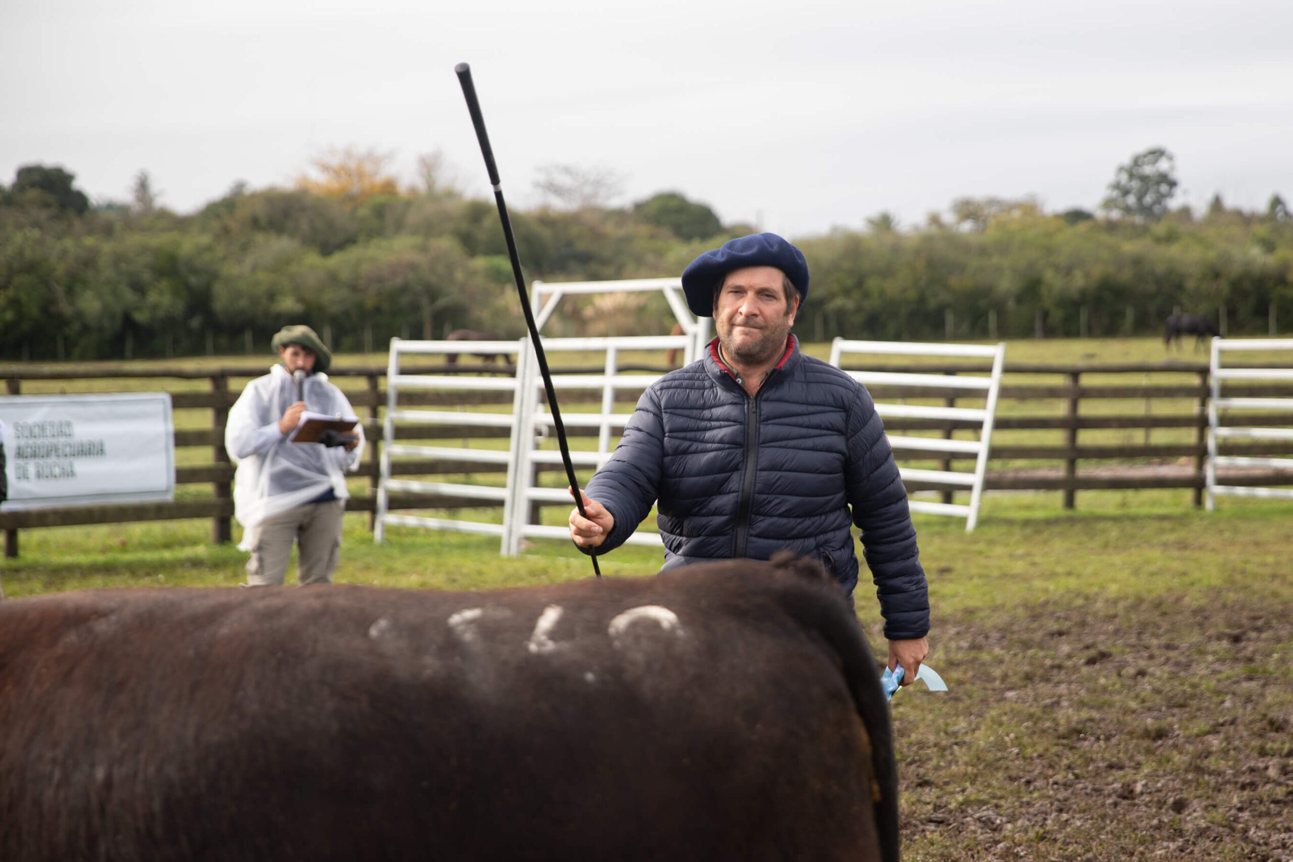 agro veterinaria tio lorenzo 1