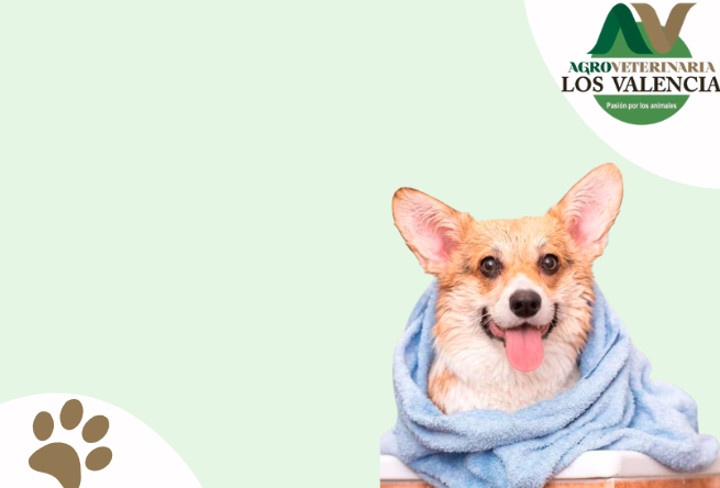 agro veterinaria tio lorenzo