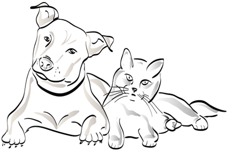 agro veterinaria y ferreteria rf