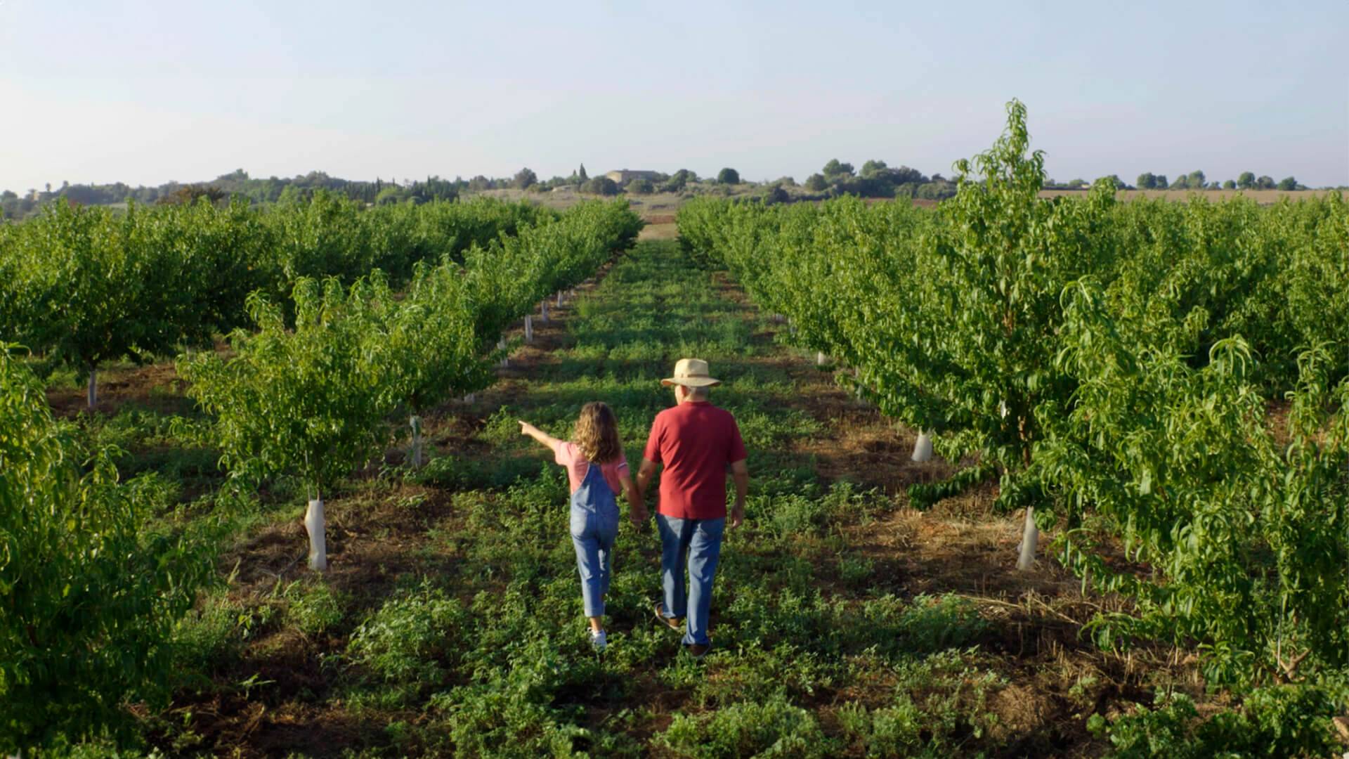 agromarva san francisco