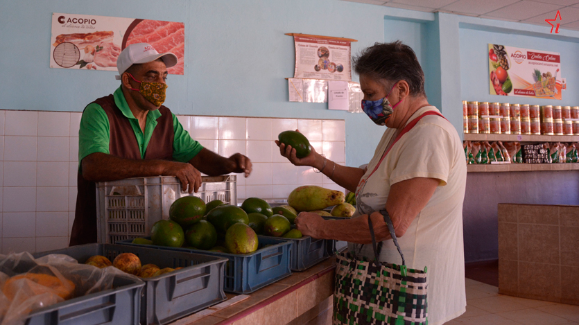 agropecuaria avila inirio