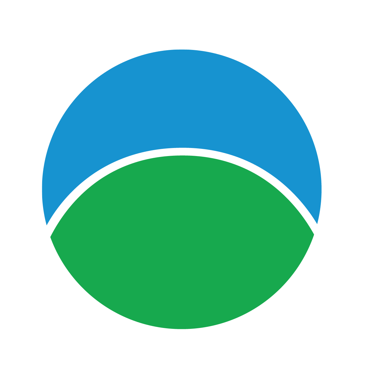 agroquimica nito brito