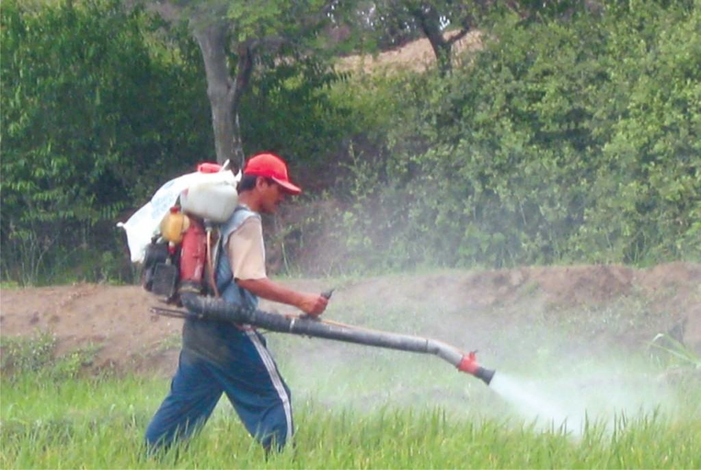 agroquimicos ella y yo rw 3