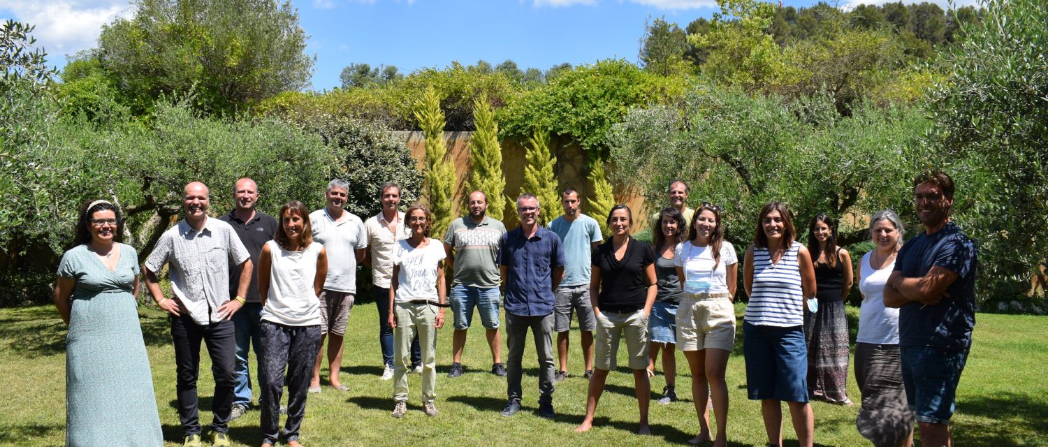 agroservicio f c fausto mercedes guerra