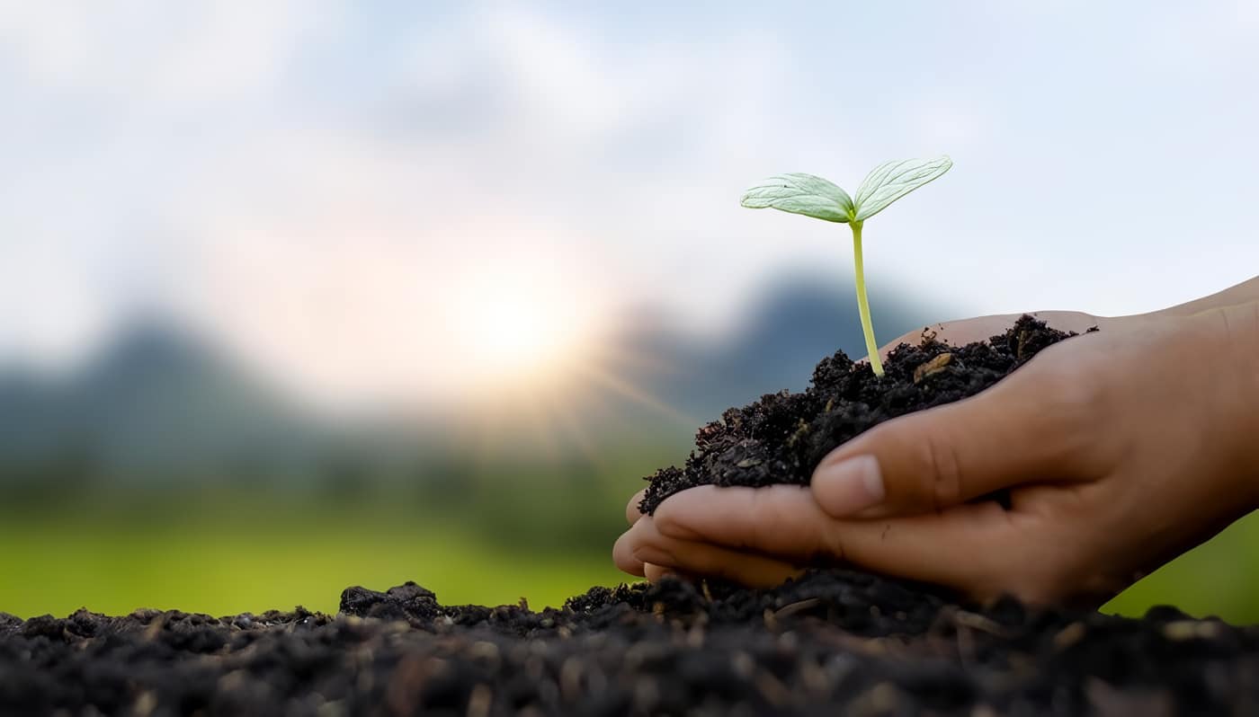 agrosoluciones eshlin j e