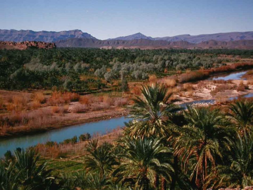 agroveterinaria el oasis