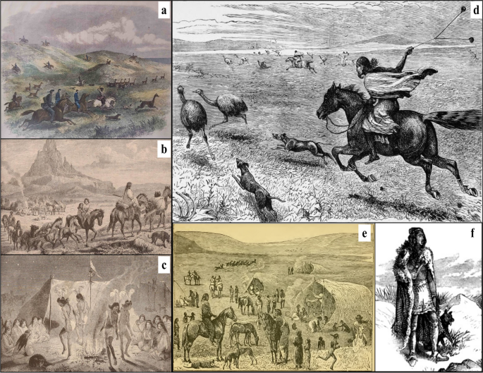 agroveterinaria evolution 1