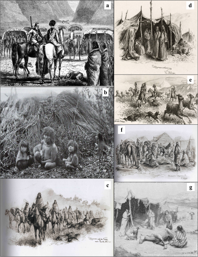 agroveterinaria evolution