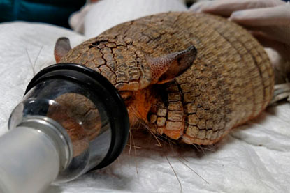 agroveterinaria hermanos pena