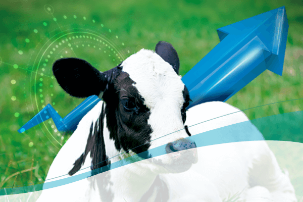 agroveterinaria jj batista