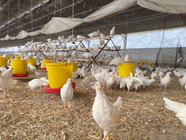 agroveterinaria la union 1