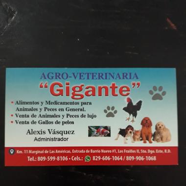 agroveterinaria los gallitos dominicanos s r l 3