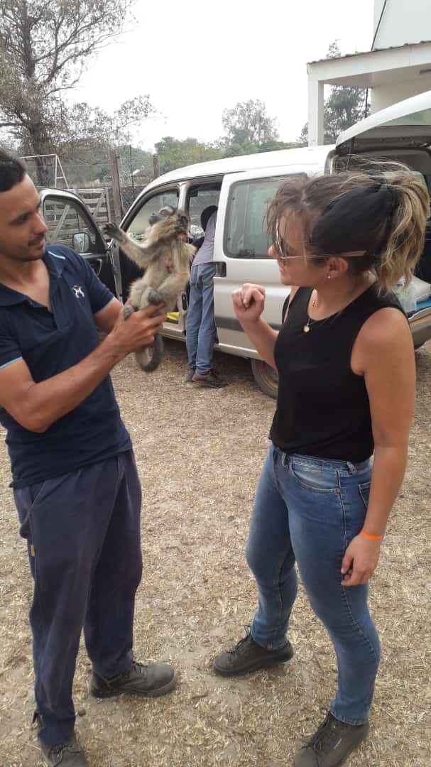 agroveterinaria ramirez