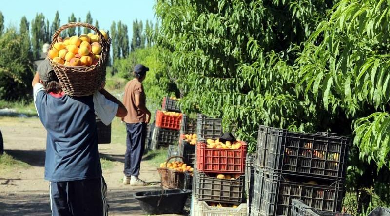 agroveterinaria robert