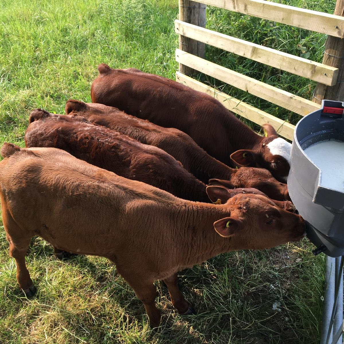 agroveterinaria san luis asl