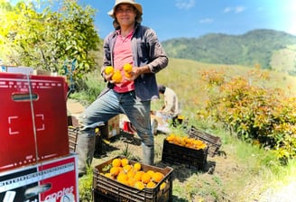 agroveterinaria somaya 1