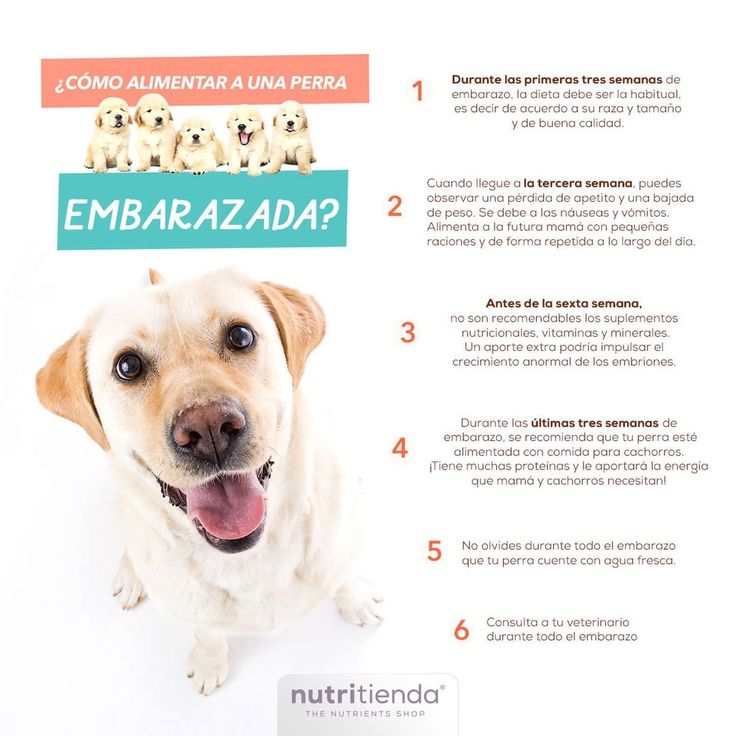 agroveterinaria velasquez