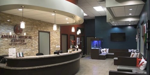 animal ville rd clinica veterinaria hotel