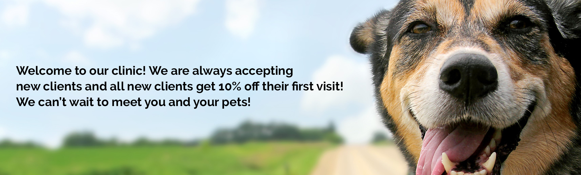 animall petshop clinic 1