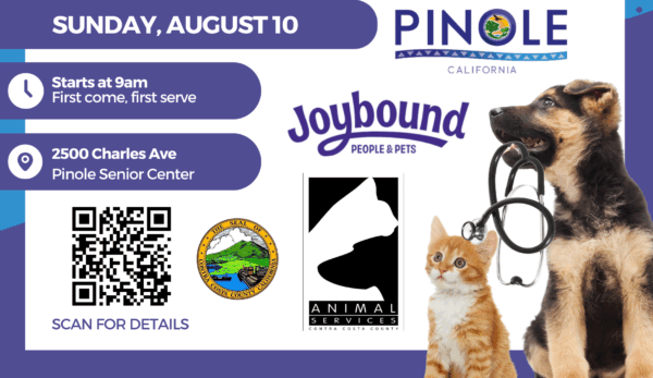 animall petshop clinic 1