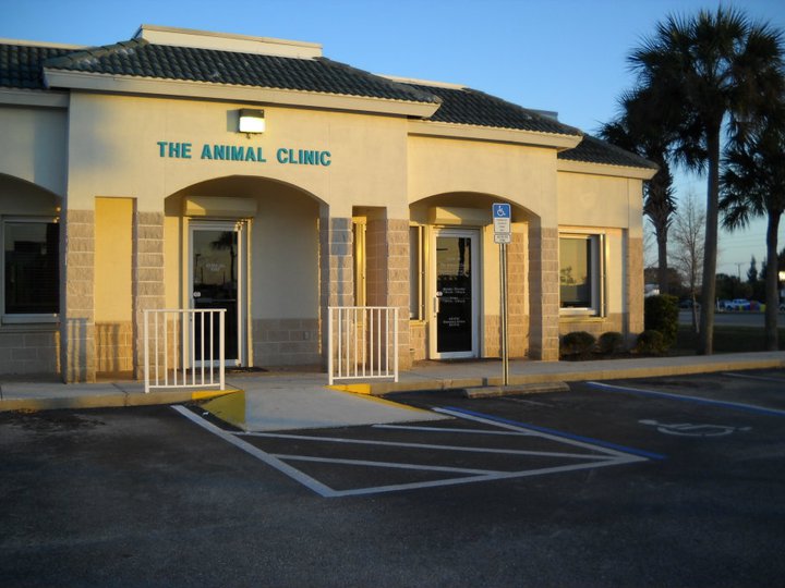 animall petshop clinic 4