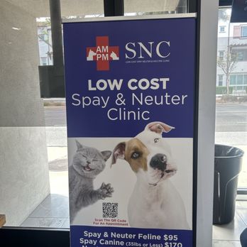 animall petshop clinic
