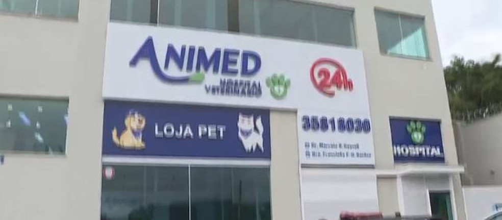 animed hotel y clinica veterinaria 2