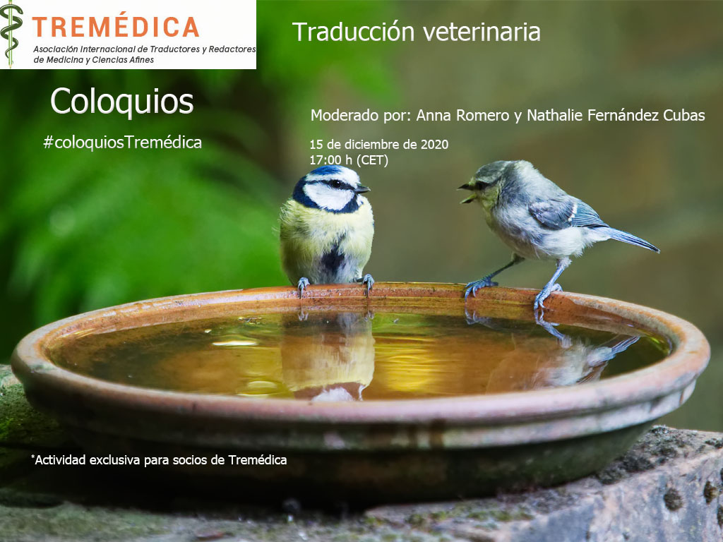 asm veterinaria 4