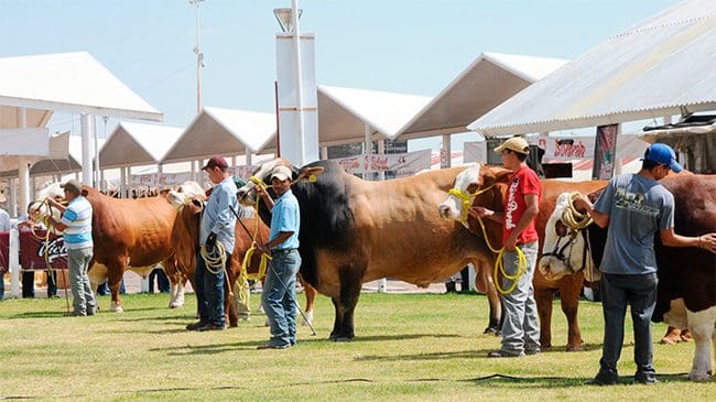 asociacion de ganaderos de la vega