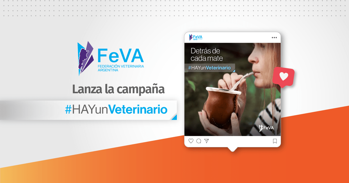 asvet medicina veterinaria 1