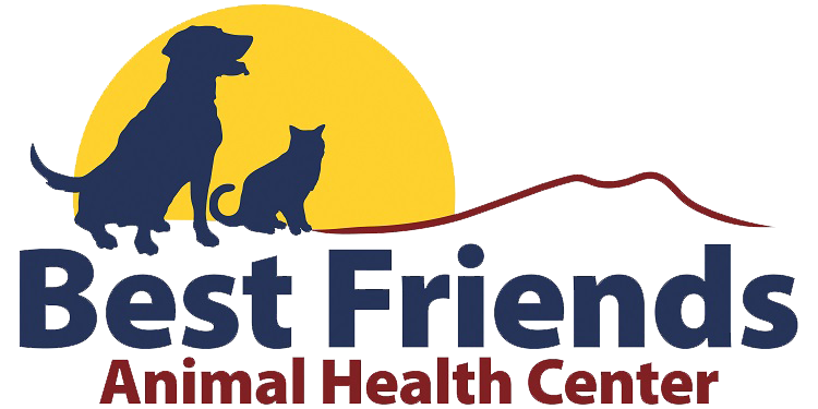 best friends vet clinic