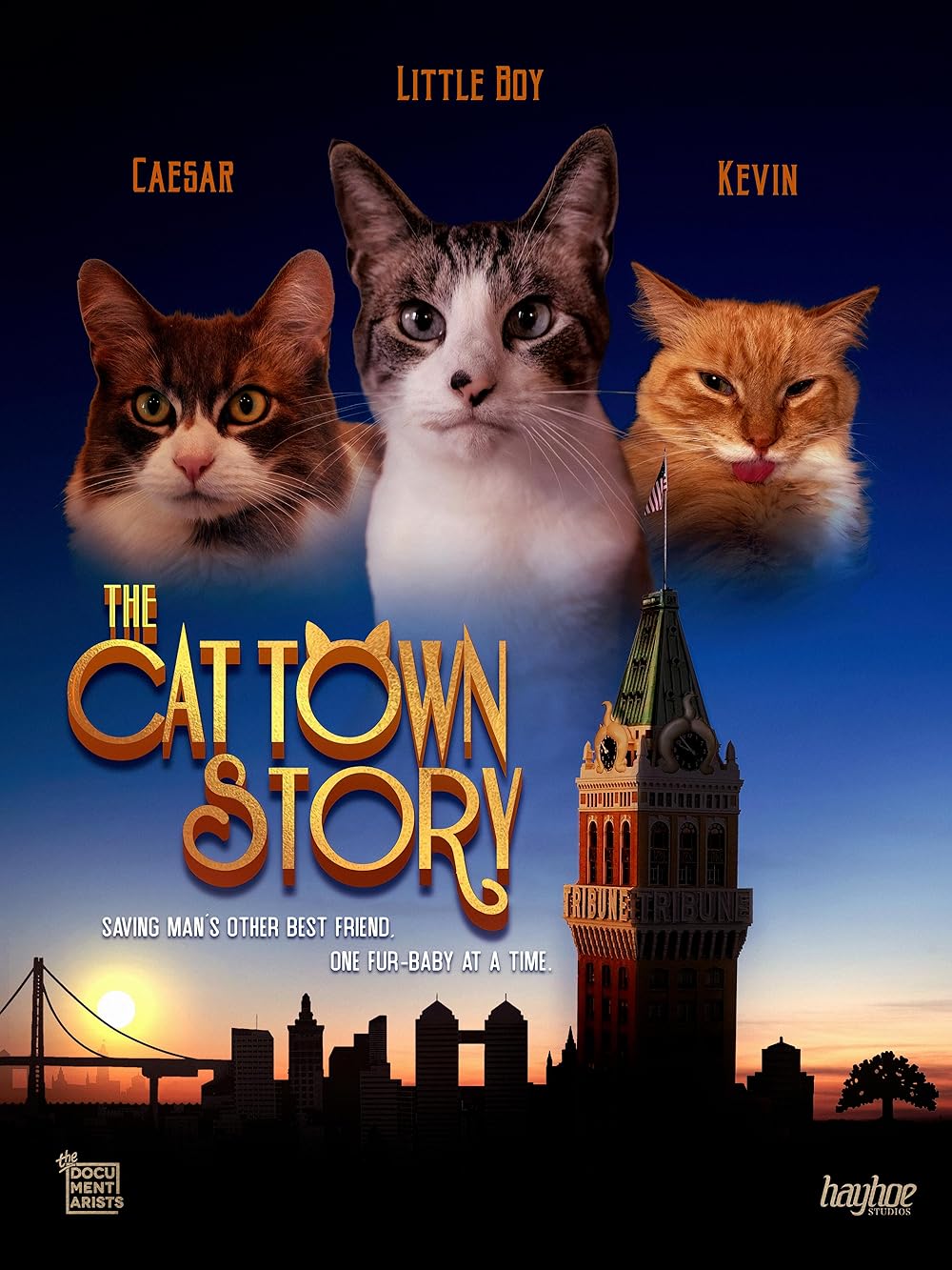 cat town 3