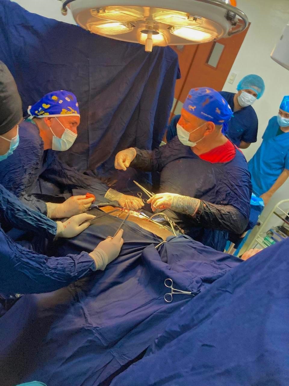 centro clinico veterinario los llanos