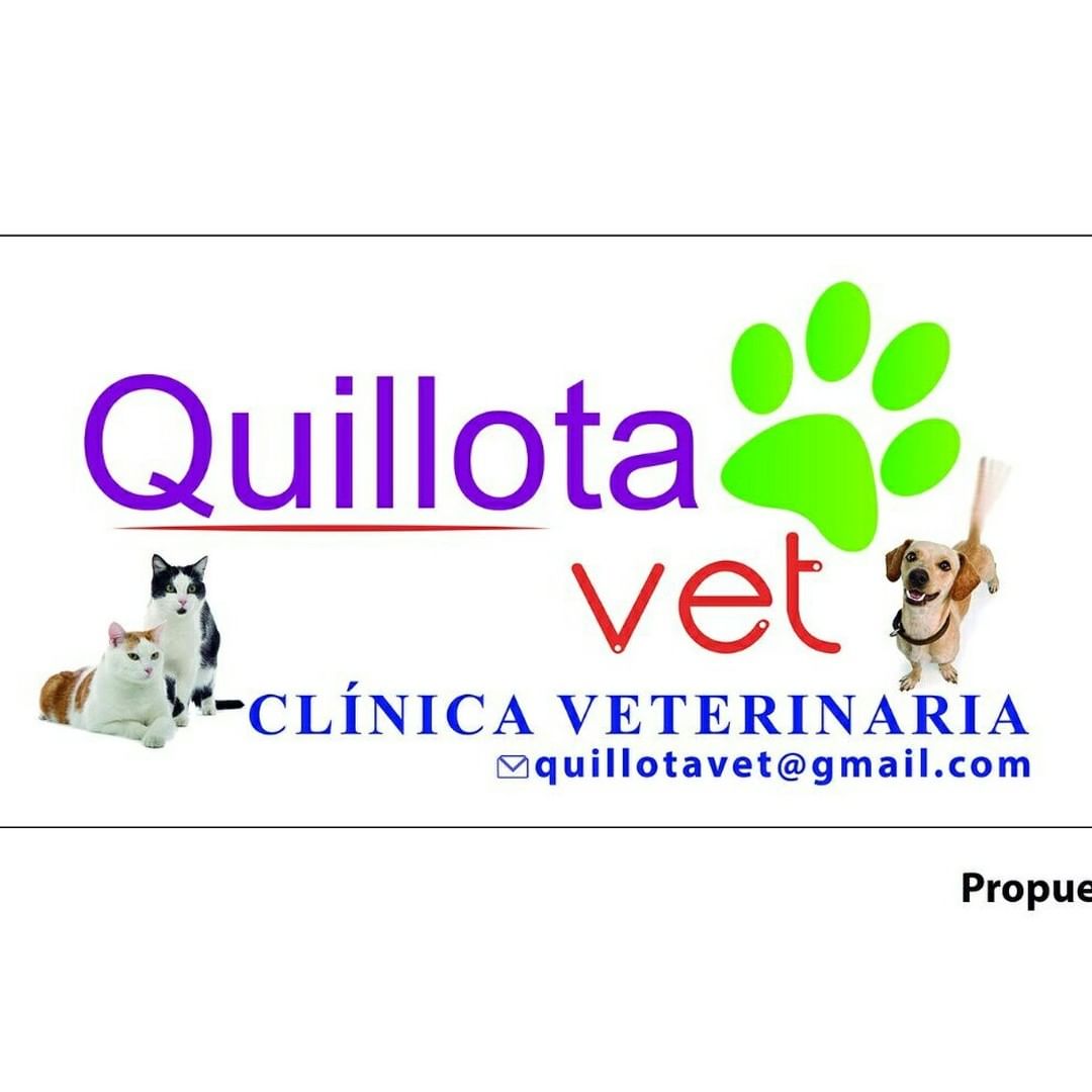 centro de especialidades medicas veterinarias cemvet 3